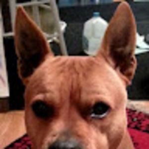 Meet your Posher, William